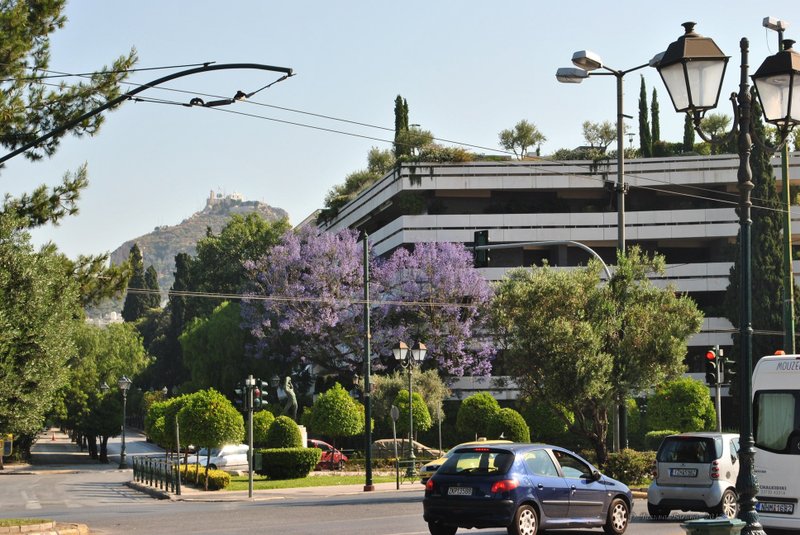 Image 0067_2012-06-02_13-38_D3000.jpg