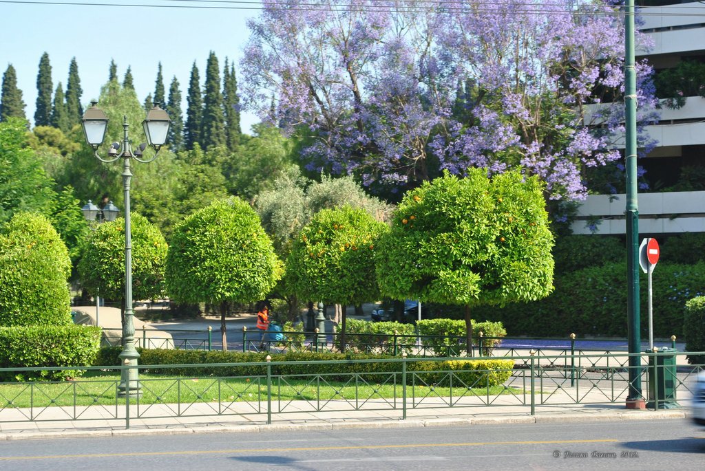 Image 0077_2012-06-02_13-46_D3000.jpg