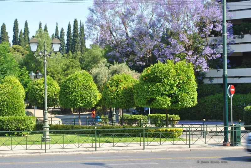 Image 0077_2012-06-02_13-46_D3000.jpg