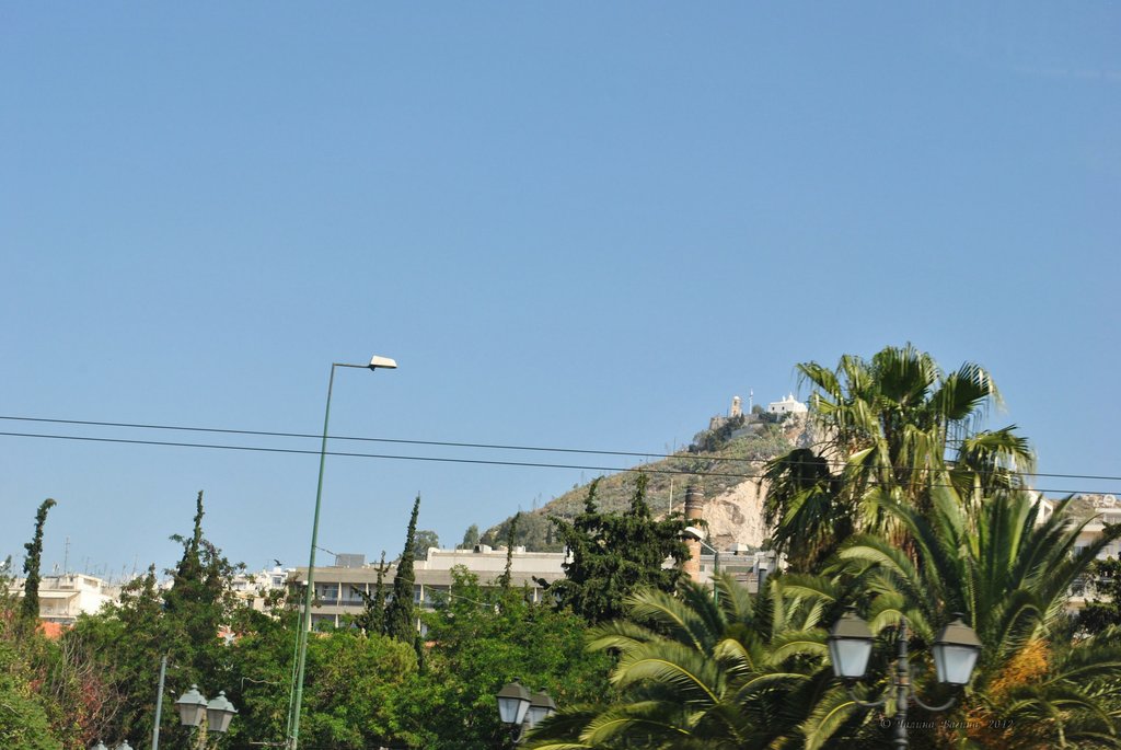 Image 0081_2012-06-02_13-49_D3000.jpg