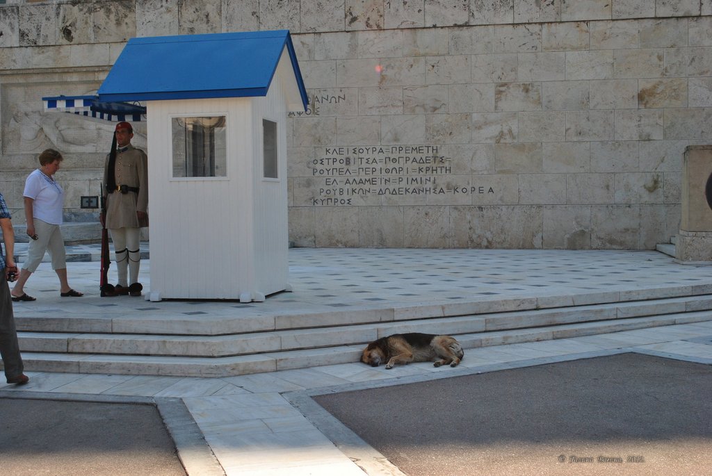 Image 0092_2012-06-02_13-58_D3000.jpg