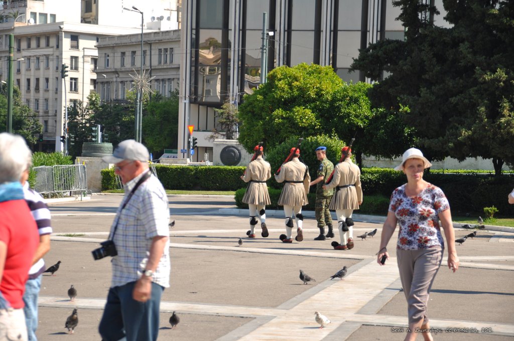 Image 0150_2012-06-02_14-03_D90.jpg