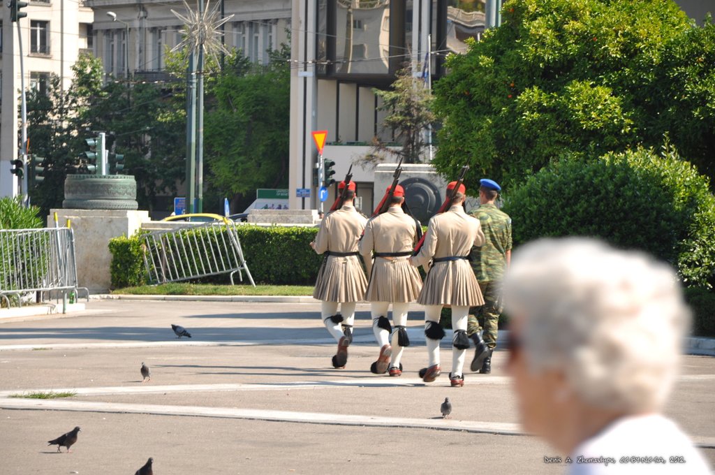 Image 0151_2012-06-02_14-03_D90.jpg