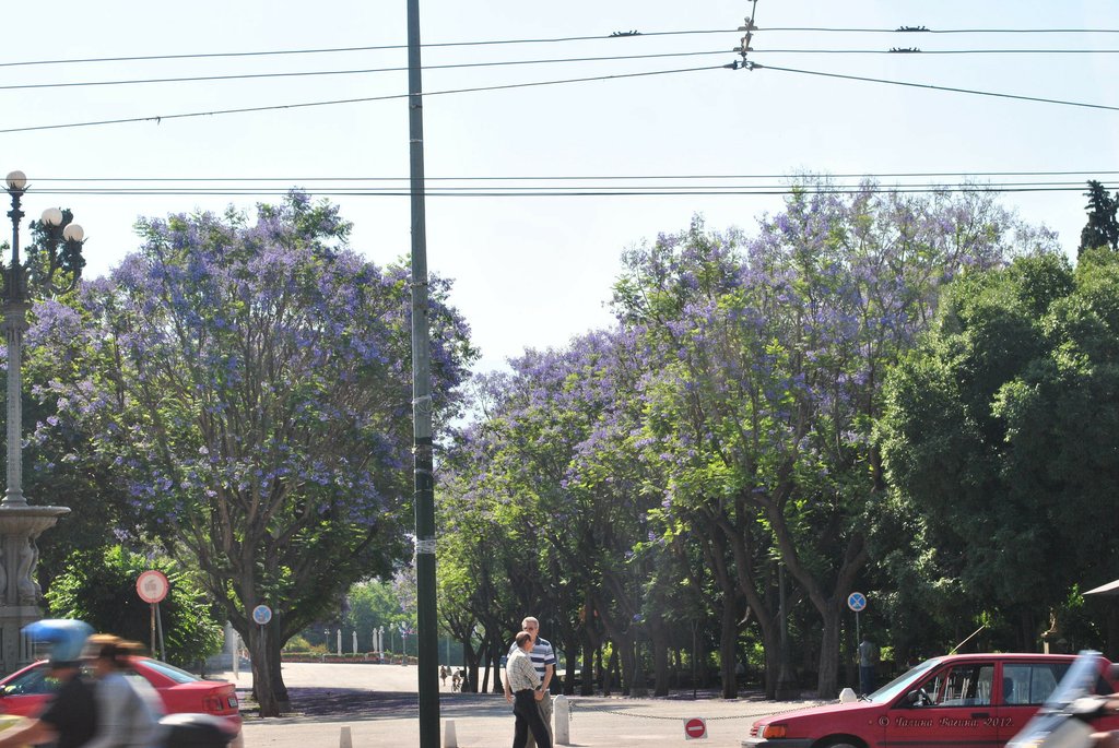 Image 0175_2012-06-02_14-18_D3000.jpg