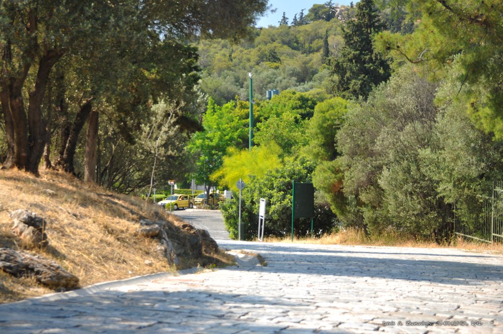 Image 0179_2012-06-02_14-25_D90.jpg