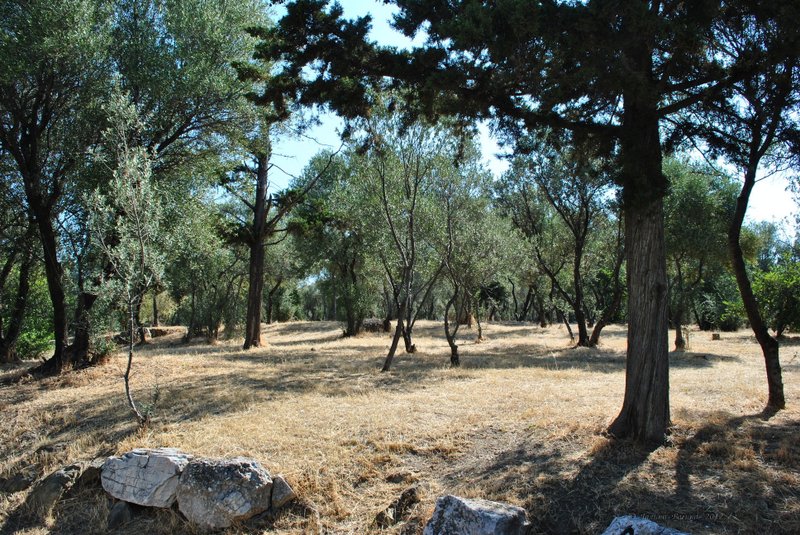 Image 0180_2012-06-02_14-26_D3000.jpg