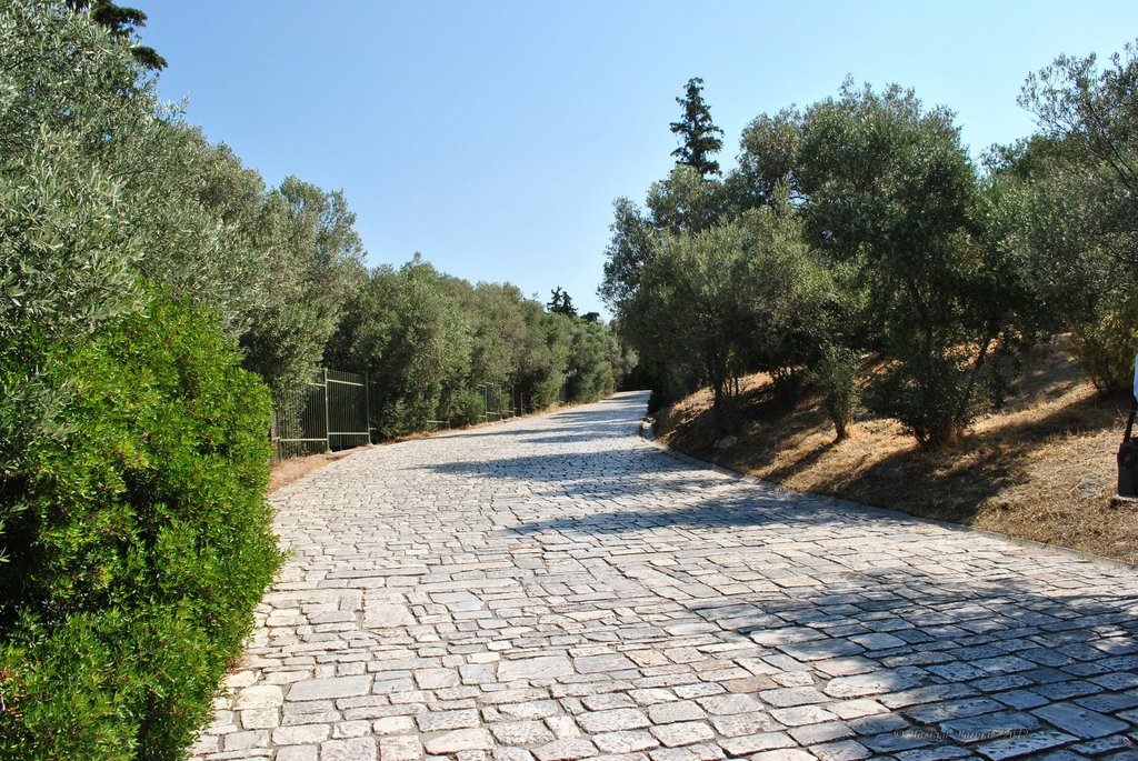 Image 0181_2012-06-02_14-26_D3000.jpg