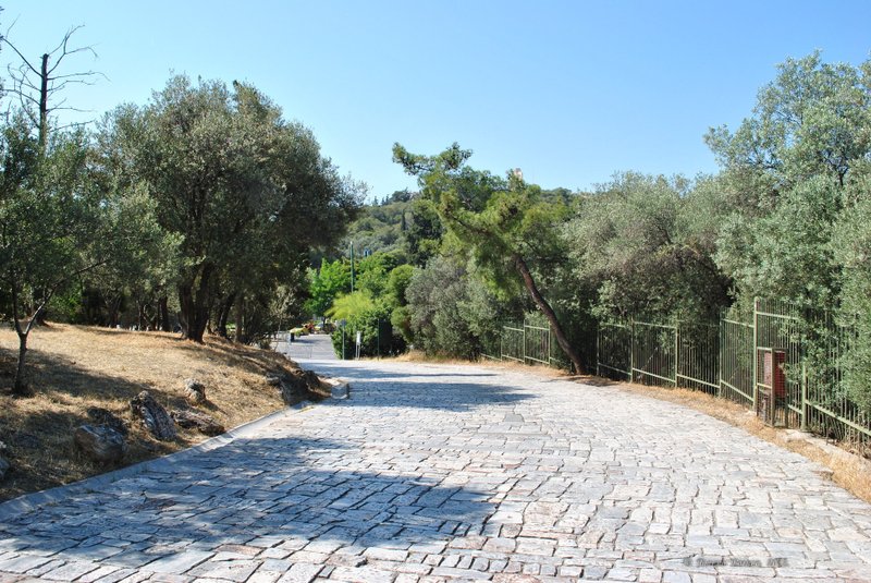 Image 0182_2012-06-02_14-27_D3000.jpg