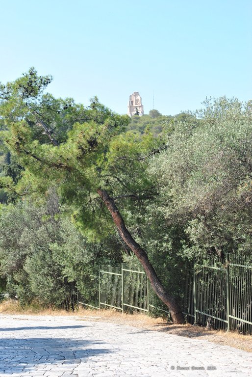 Image 0183_2012-06-02_14-27_D3000.jpg