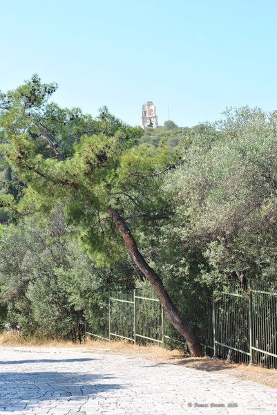 Image 0183_2012-06-02_14-27_D3000.jpg