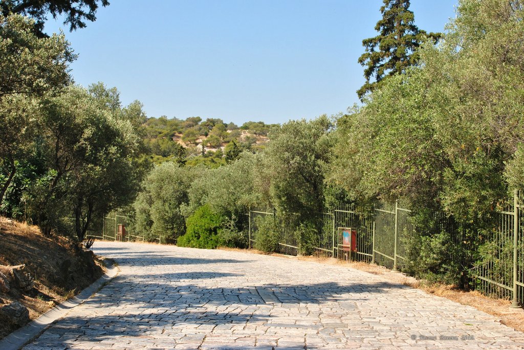 Image 0184_2012-06-02_14-28_D3000.jpg