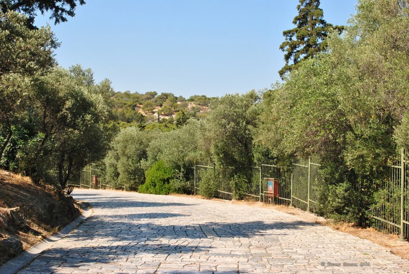 Image 0184_2012-06-02_14-28_D3000.jpg