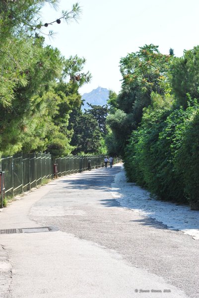 Image 0190_2012-06-02_14-38_D3000.jpg