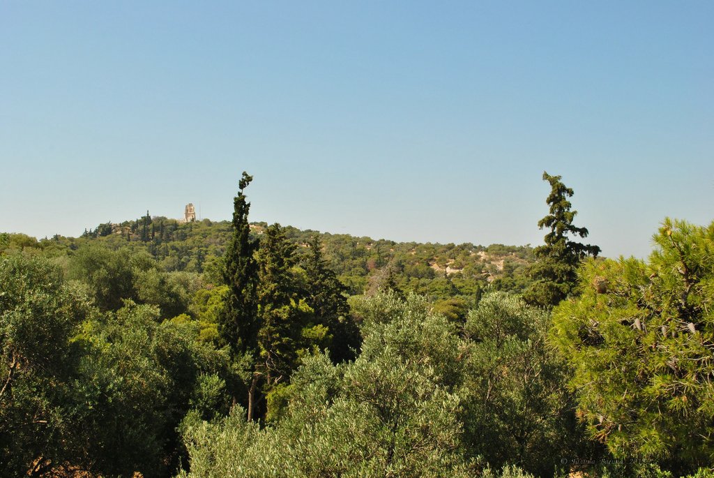 Image 0196_2012-06-02_14-40_D3000.jpg