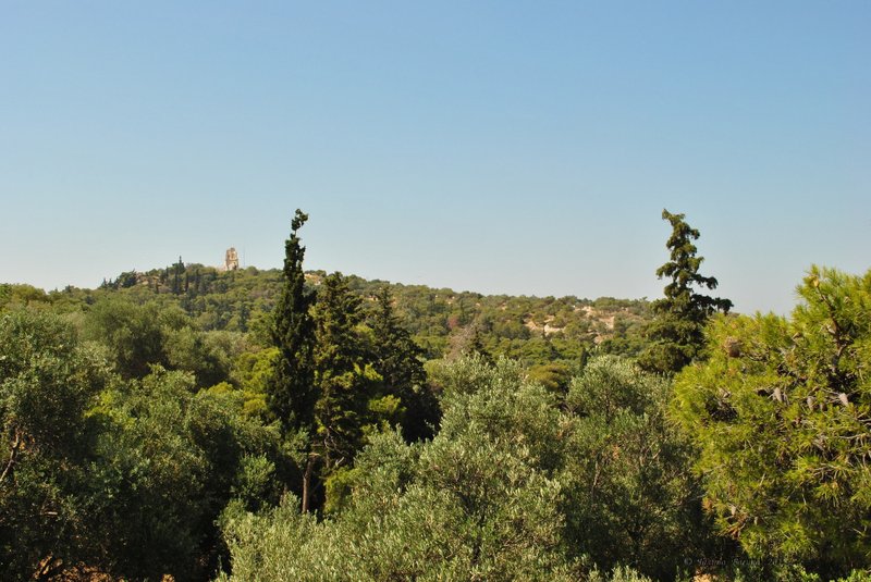 Image 0196_2012-06-02_14-40_D3000.jpg