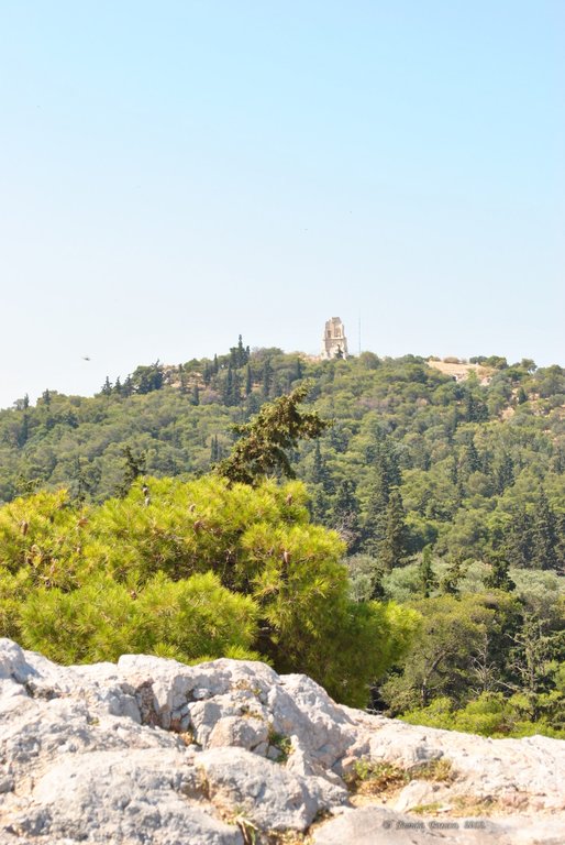 Image 0199_2012-06-02_14-42_D3000.jpg