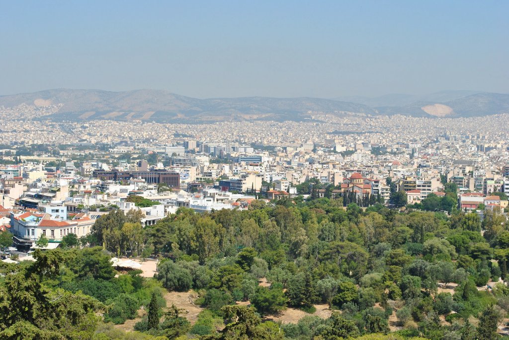 Image 0213_2012-06-02_14-45_D3000.jpg