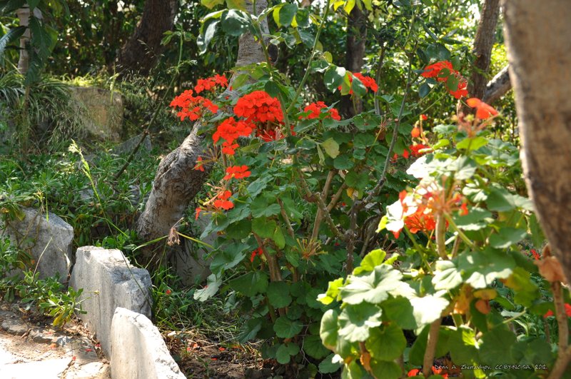 Image 0217_2012-06-02_14-52_D90.jpg