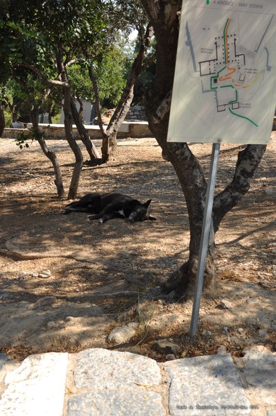 Image 0218_2012-06-02_14-53_D90.jpg