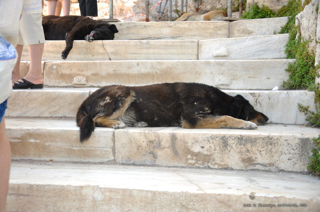 Image 0230_2012-06-02_15-03_D90.jpg