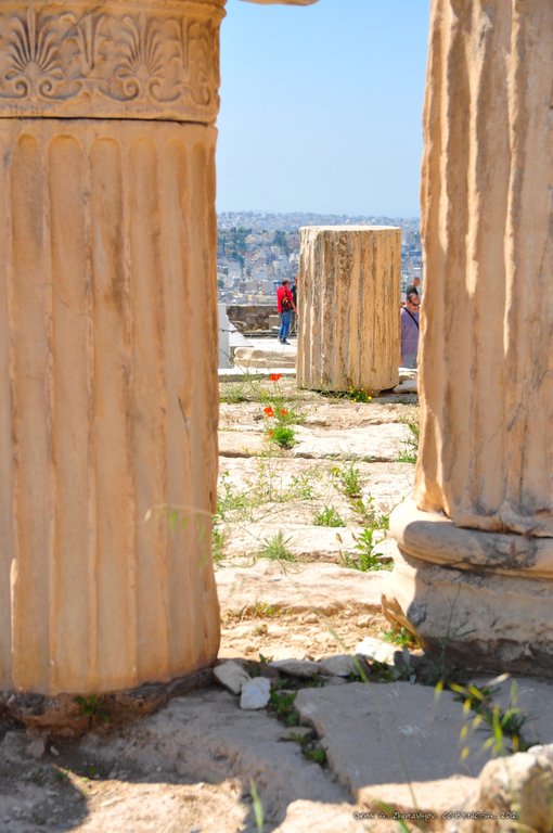 Image 0269_2012-06-02_15-25_D90.jpg