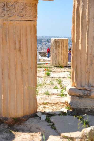 Image 0269_2012-06-02_15-25_D90.jpg