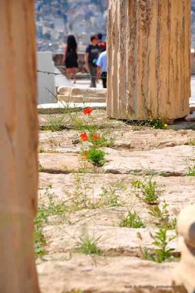 Image 0270_2012-06-02_15-25_D90.jpg