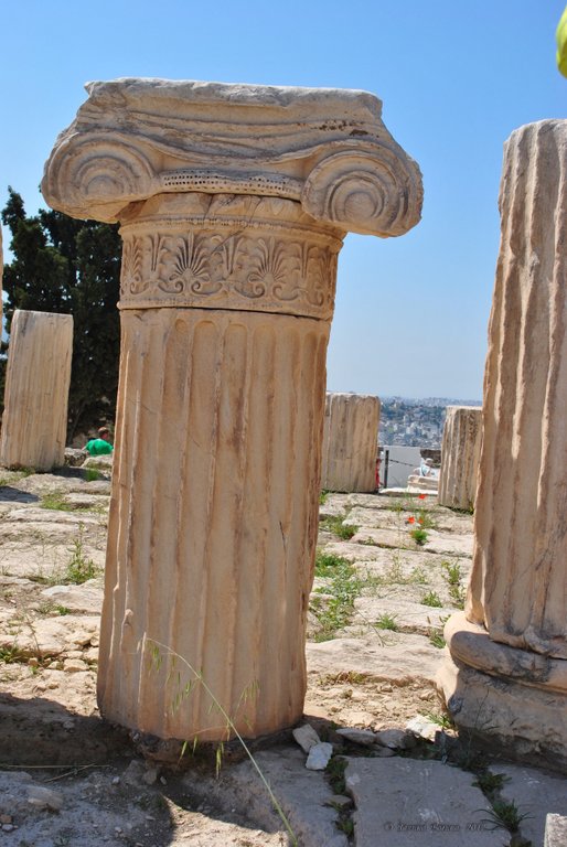 Image 0273_2012-06-02_15-26_D3000.jpg