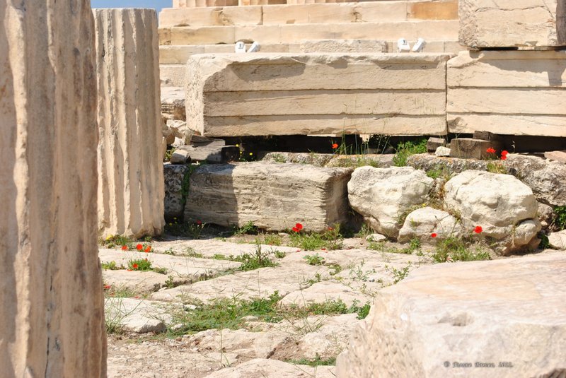 Image 0275_2012-06-02_15-29_D3000.jpg