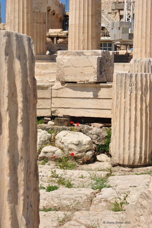 Image 0276_2012-06-02_15-29_D3000.jpg