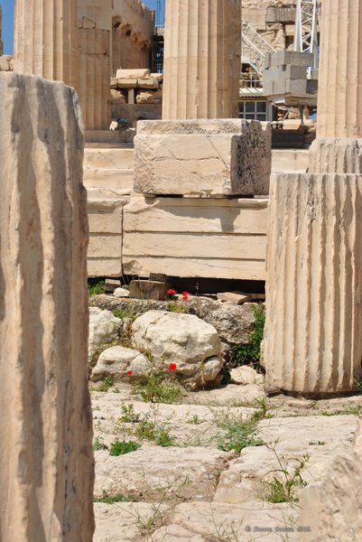 Image 0276_2012-06-02_15-29_D3000.jpg