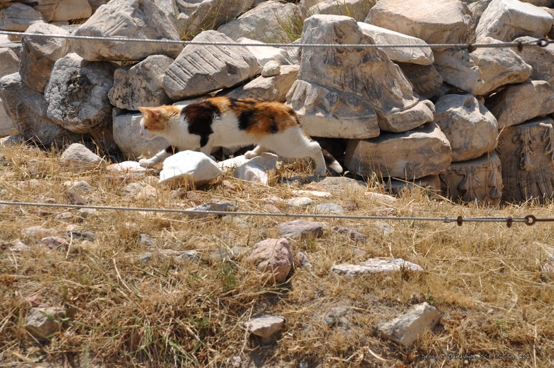 Image 0308_2012-06-02_15-45_D90.jpg