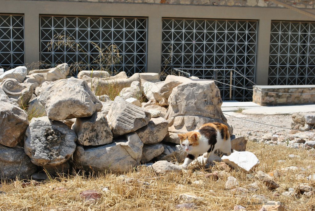 Image 0311_2012-06-02_15-47_D3000.jpg