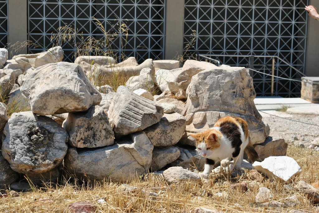 Image 0312_2012-06-02_15-47_D3000.jpg