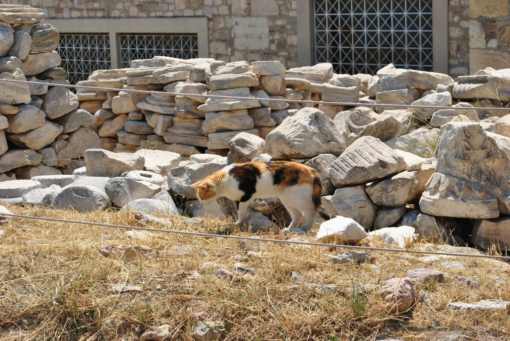 Image 0313_2012-06-02_15-48_D3000.jpg