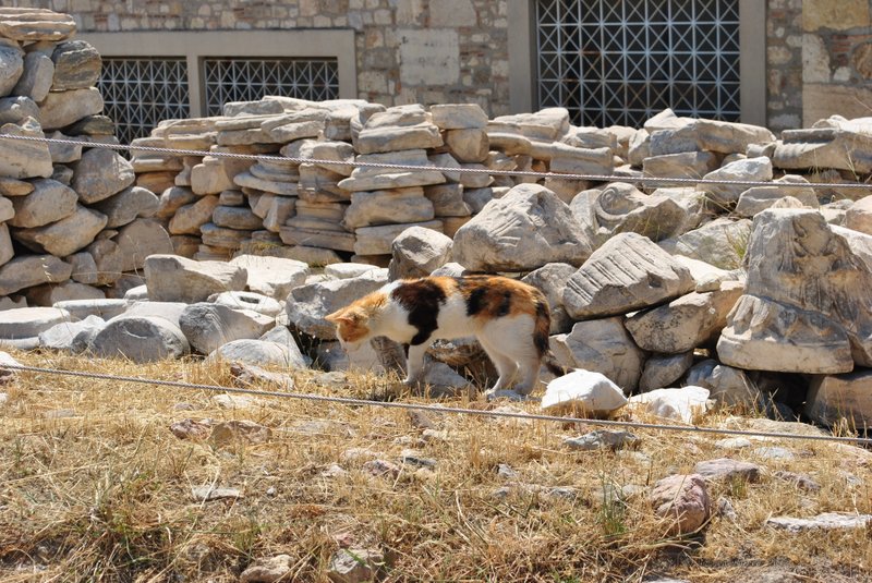 Image 0313_2012-06-02_15-48_D3000.jpg