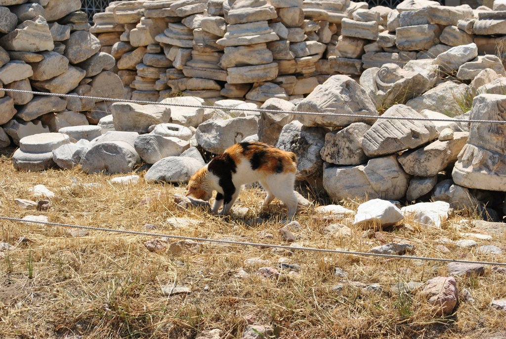 Image 0314_2012-06-02_15-49_D3000.jpg