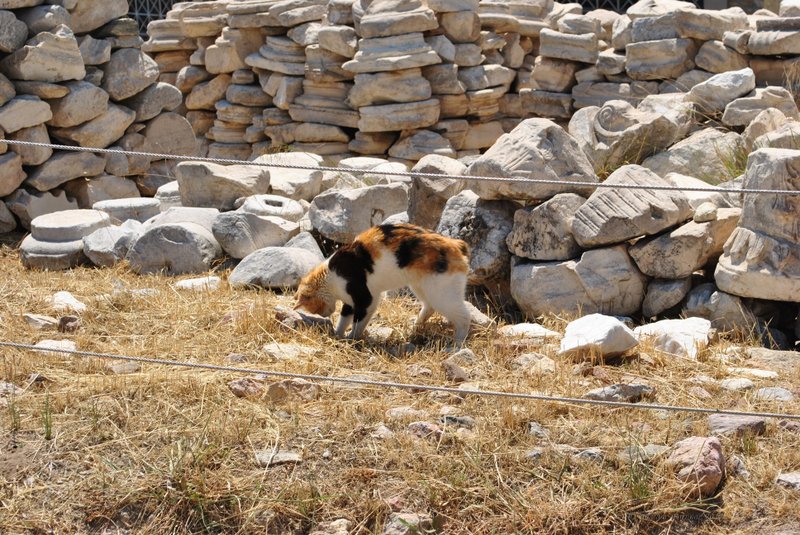 Image 0314_2012-06-02_15-49_D3000.jpg