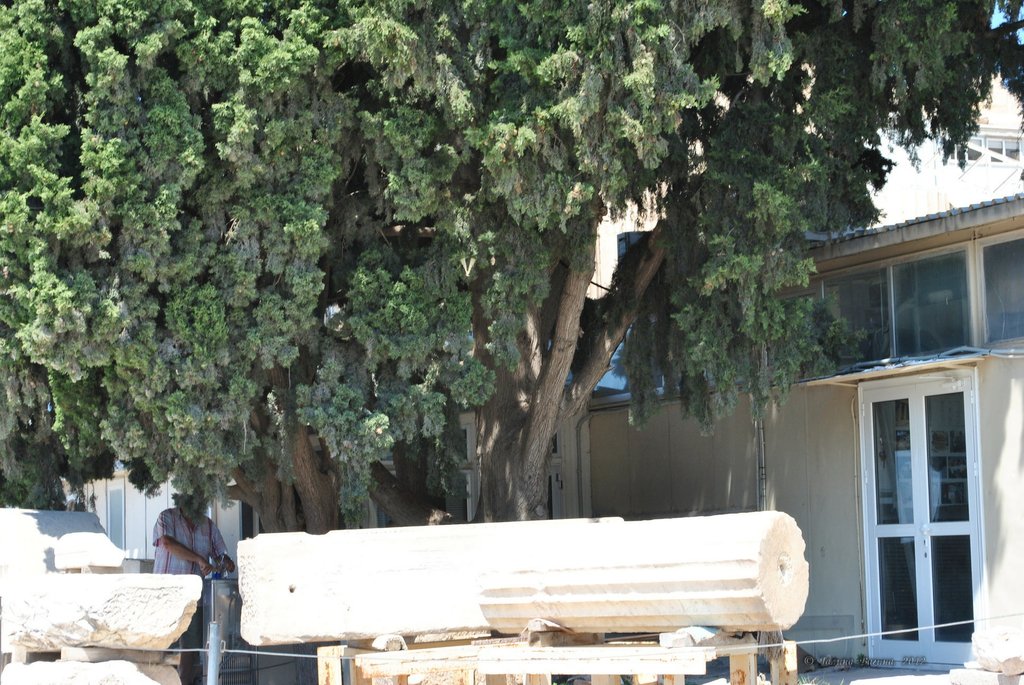 Image 0328_2012-06-02_15-56_D3000.jpg