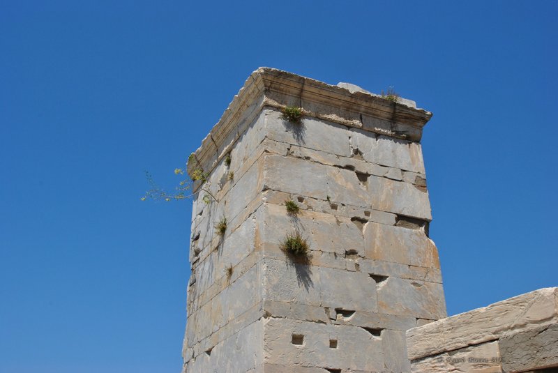 Image 0341_2012-06-02_16-02_D3000.jpg