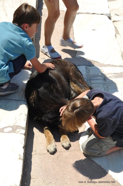 Image 0342_2012-06-02_16-03_D90.jpg