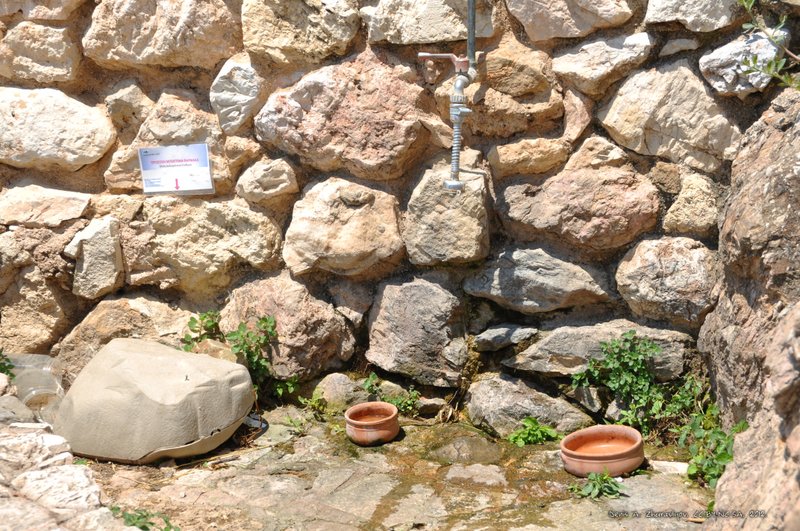 Image 0345_2012-06-02_16-05_D90.jpg