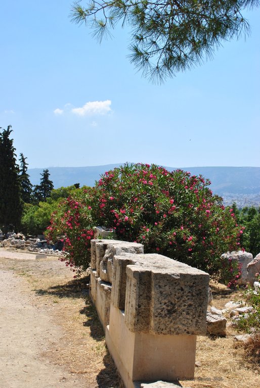 Image 0350_2012-06-02_16-10_D3000.jpg