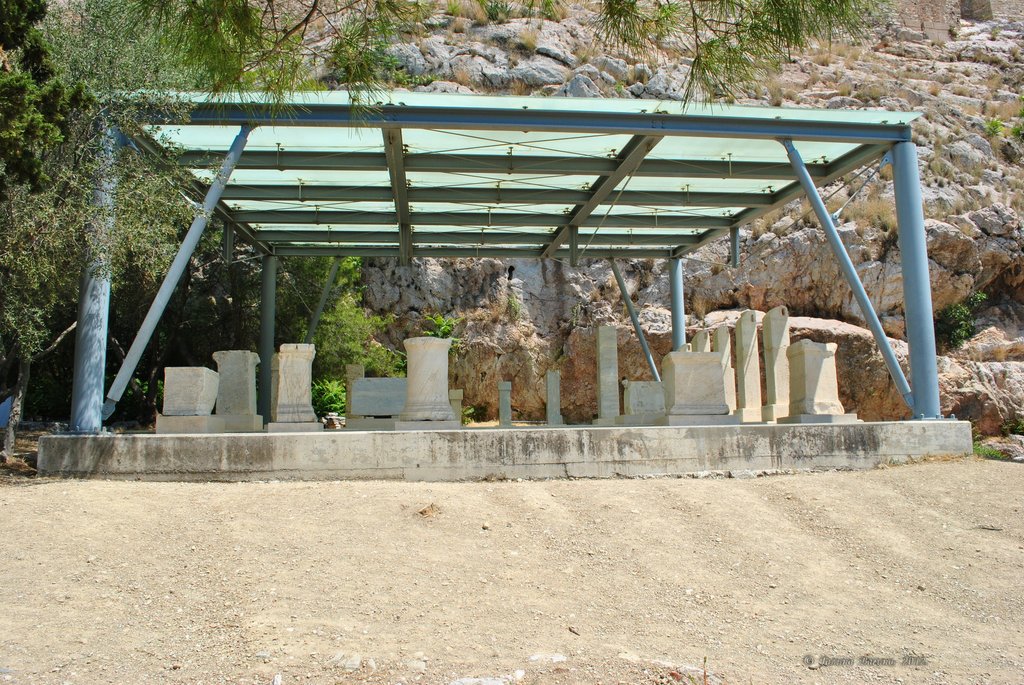 Image 0351_2012-06-02_16-10_D3000.jpg