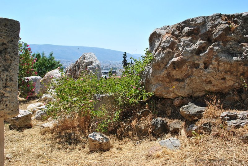 Image 0353_2012-06-02_16-11_D3000.jpg