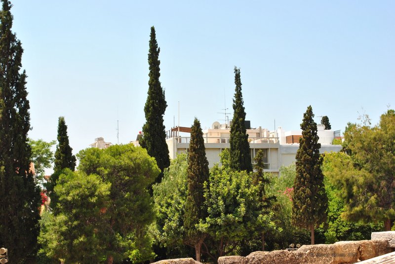 Image 0367_2012-06-02_16-21_D3000.jpg