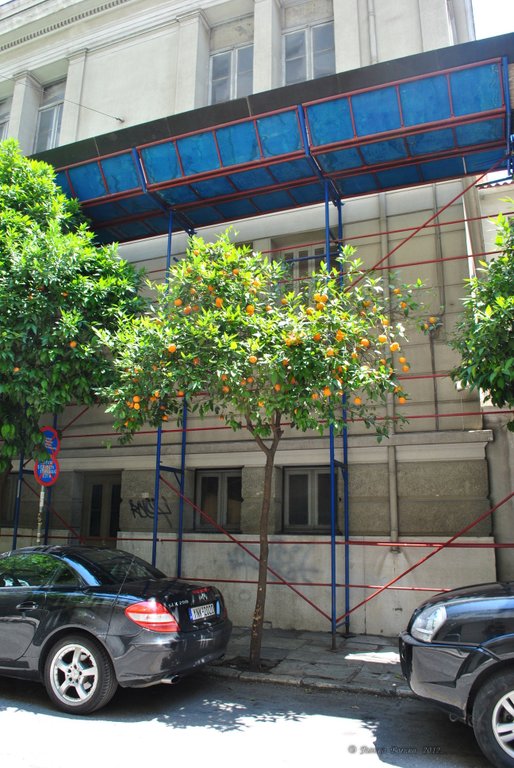 Image 0385_2012-06-02_16-59_D3000.jpg