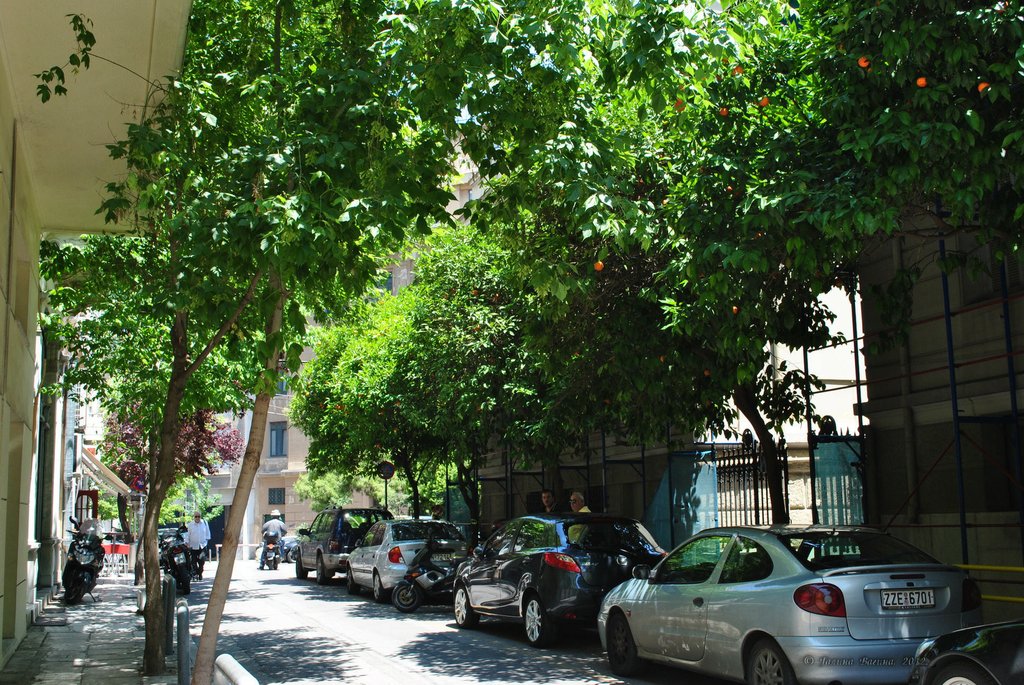 Image 0387_2012-06-02_16-59_D3000.jpg