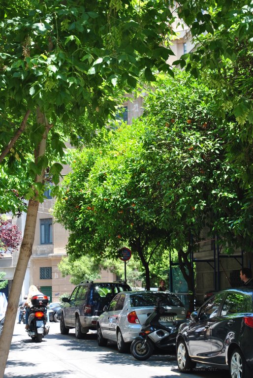 Image 0388_2012-06-02_16-59_D3000.jpg