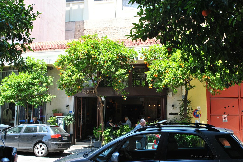 Image 0389_2012-06-02_17-01_D3000.jpg